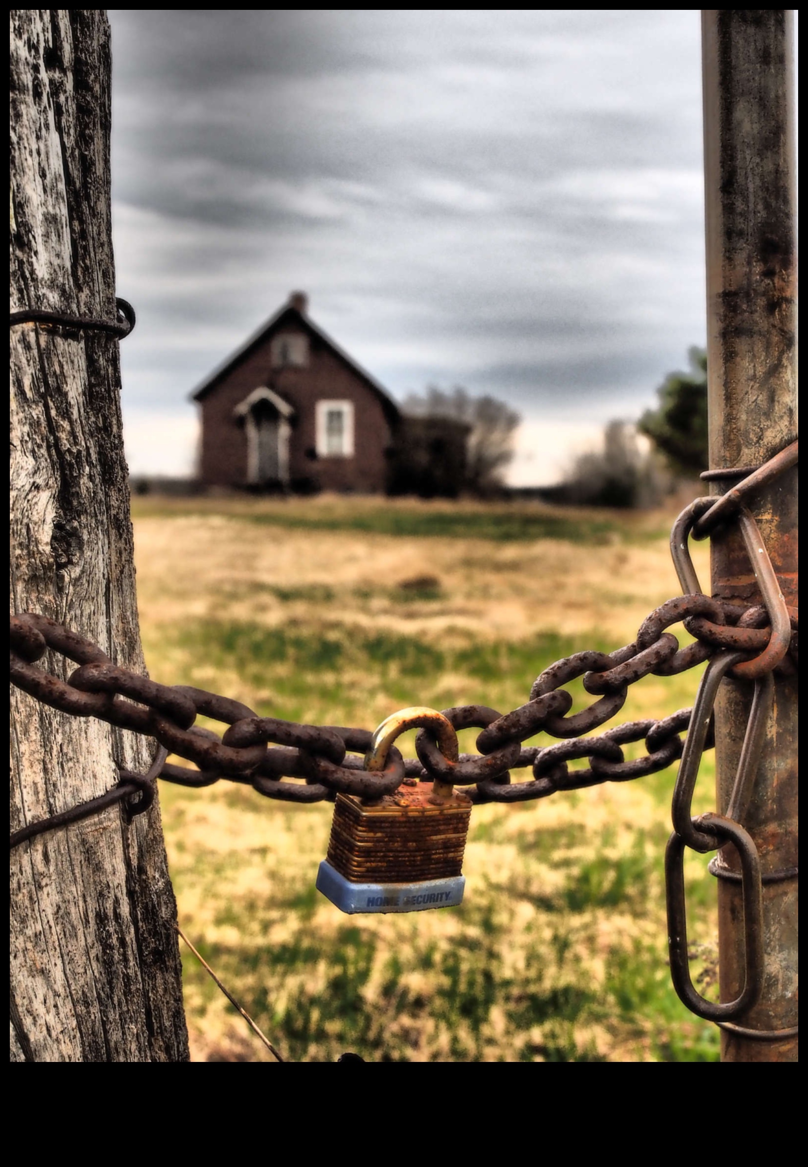 Natural Framing: Mastering the Art of Incorporating Surrounding