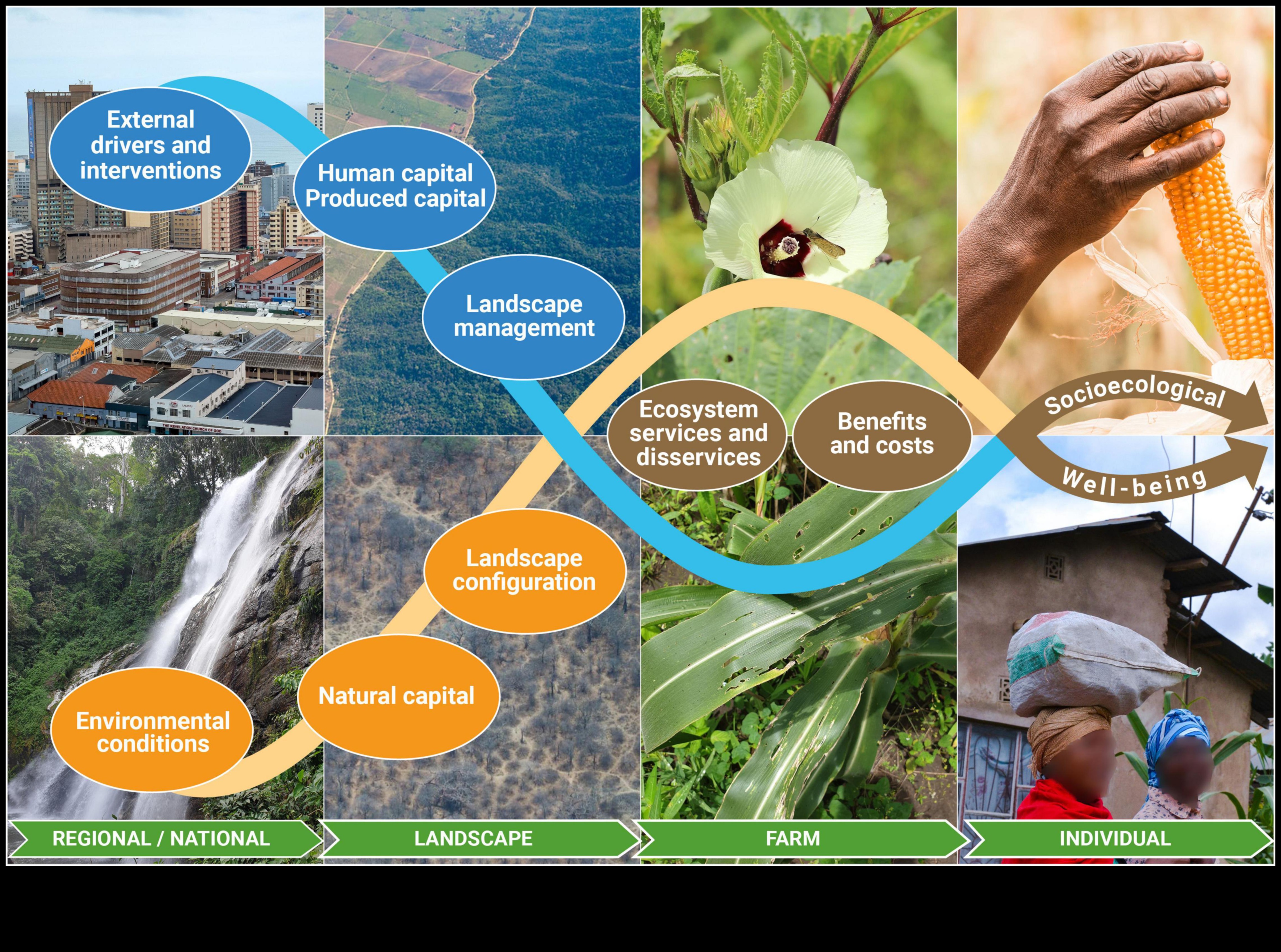 Καινοτόμα σύνορα: Διαμόρφωση του τοπίου της πράσινης τεχνολογίας