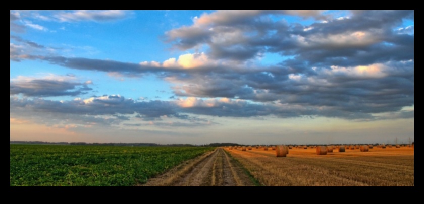 Καινοτόμα σύνορα: Διαμόρφωση του τοπίου της πράσινης τεχνολογίας