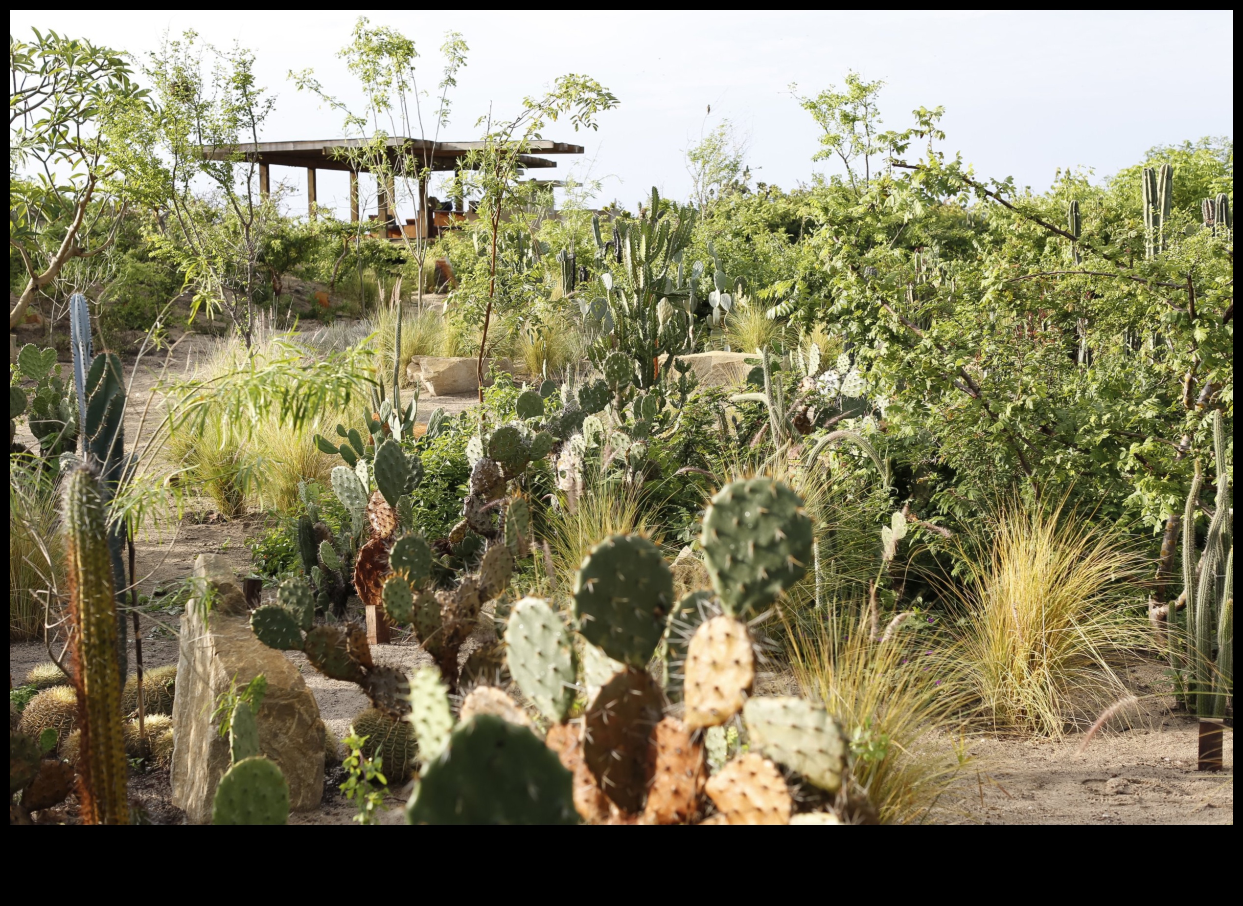 Floral Artistry: Crafting Beauty through Garden Workshops