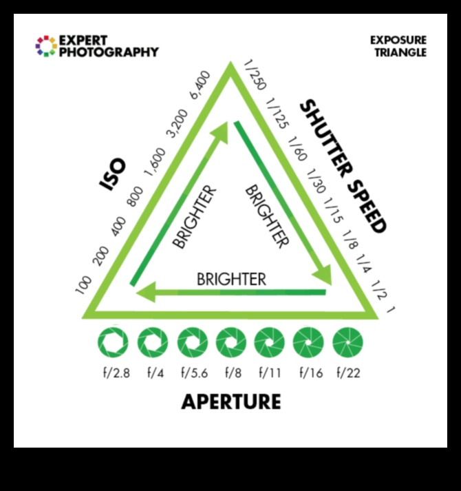 Στιγμιότυπο Μάθετε Βασικές δεξιότητες φωτογραφίας για αρχάριους και επαγγελματίες 4 Snapshot Mastery: Essential Photography Tutorials for All