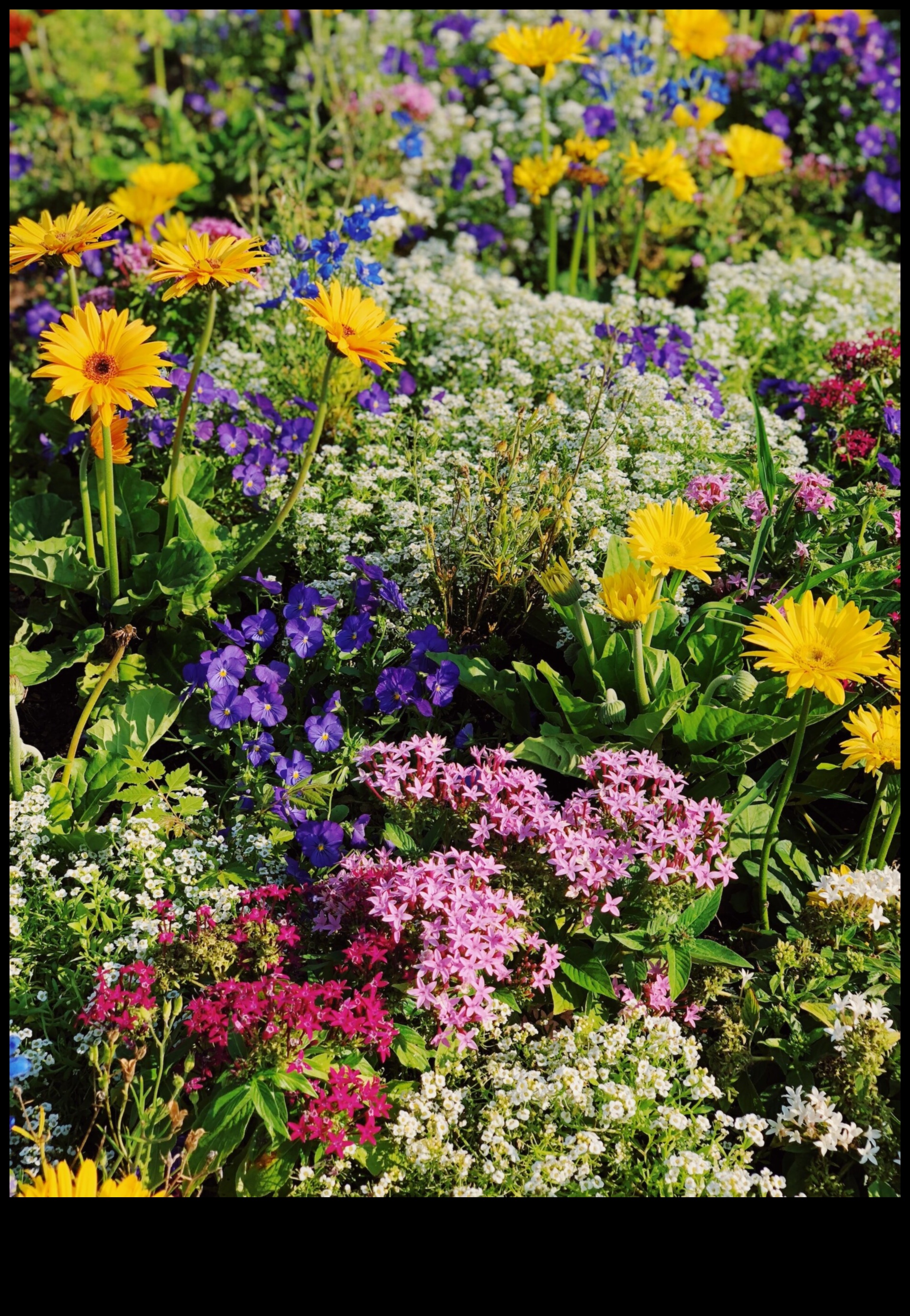 Garden Harmony: Εξισορρόπηση ομορφιάς και αποτελεσματικότητας στη συντήρηση