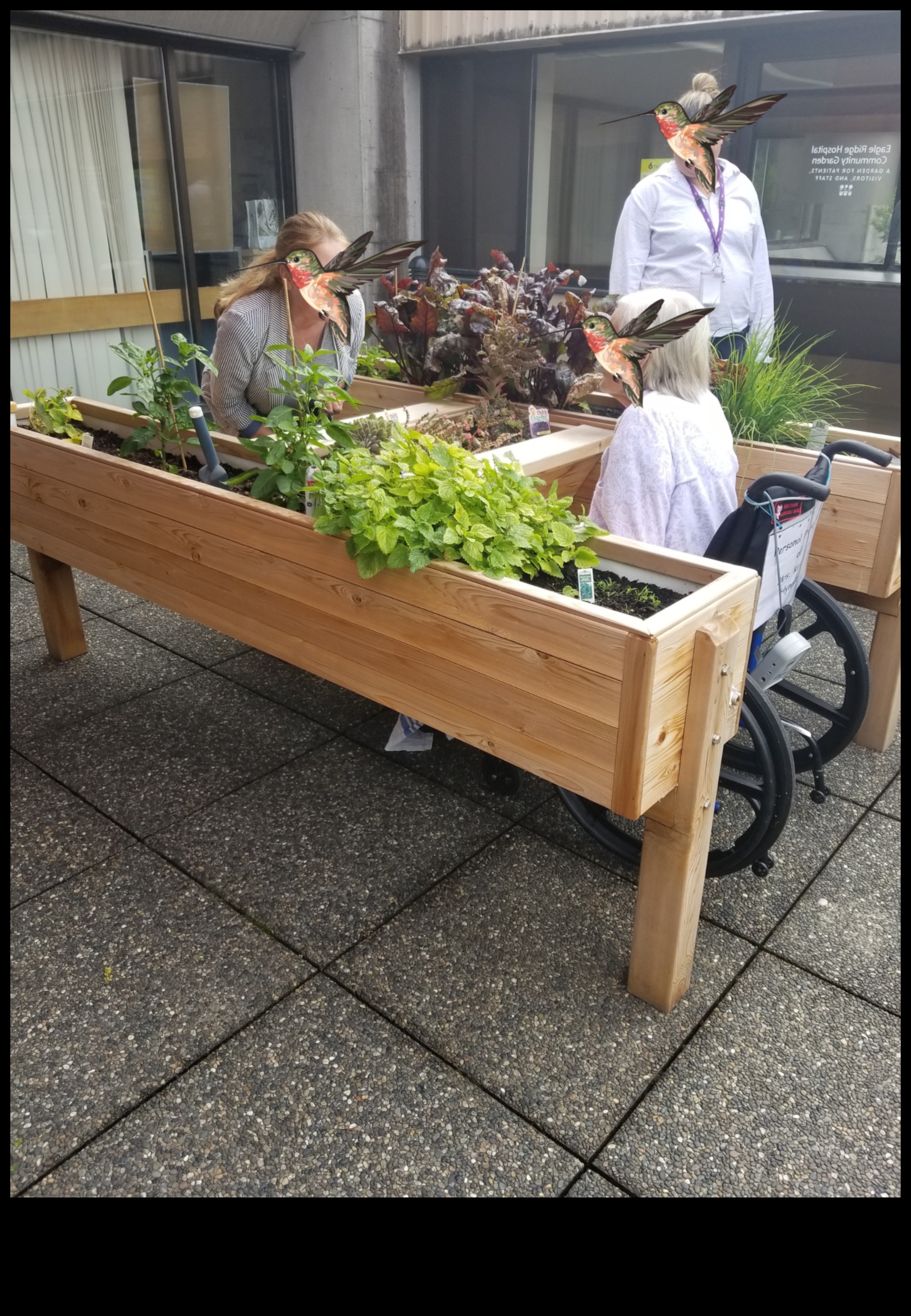 Garden Harmony: Εξισορρόπηση ομορφιάς και αποτελεσματικότητας στη συντήρηση