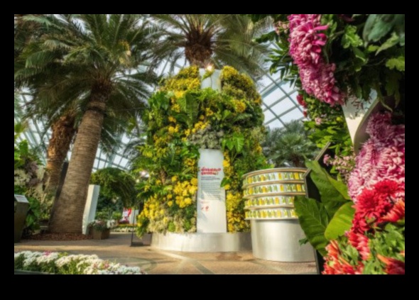 Creative Oasis: Αποκαλύπτοντας τη γοητεία του Garden Artistry