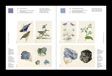 Nature's Palette: Κορυφαίες συμβουλές για έναν ζωντανό και υγιή κήπο