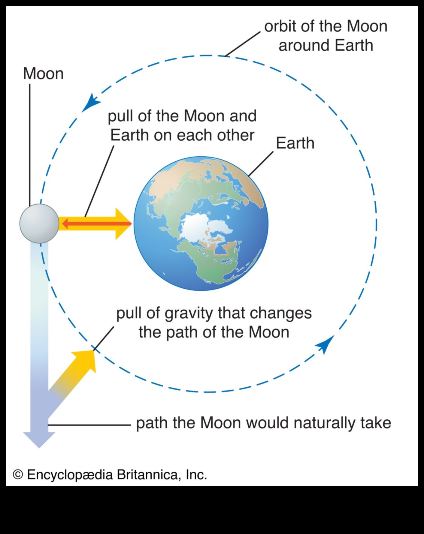 Αστρική έλξη: Εξερευνώντας τη μαγνητική έλξη της βαρύτητας