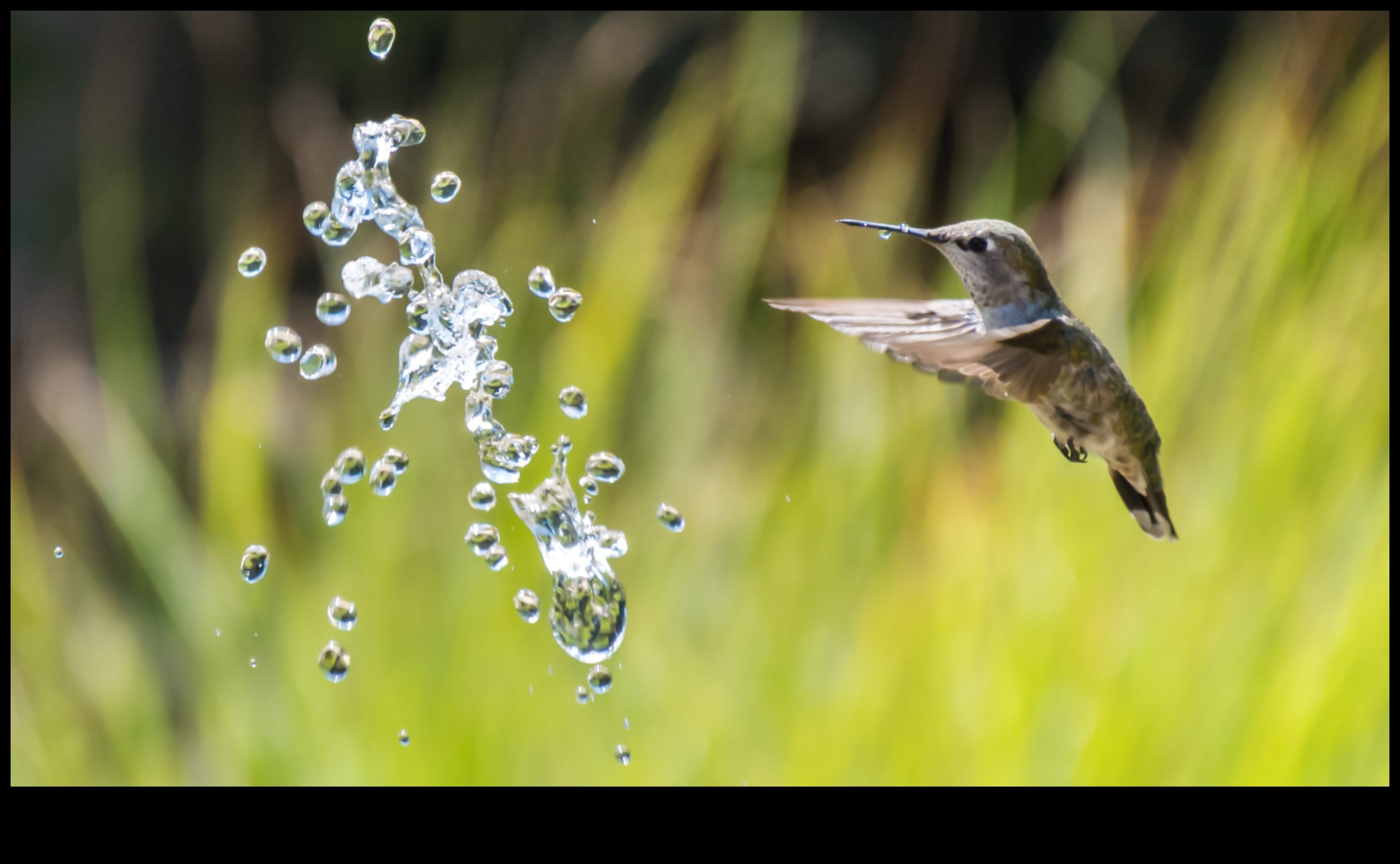 Ταχύτητα κλείστρου σε ένα κλικ: Δεξιοτεχνία ψηφιακής φωτογραφίας