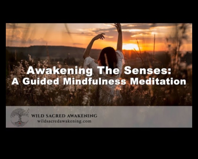 Awaken the Senses: The Beauty of Mindfulness Διαλογισμός