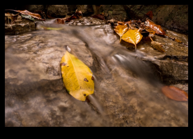 Silky Smooth Water Πώς να καταγράψετε τη ροή ενός ρεύματος 4 Silky Smooth Water: Mastering Techniques for Capturing Flowing Streams