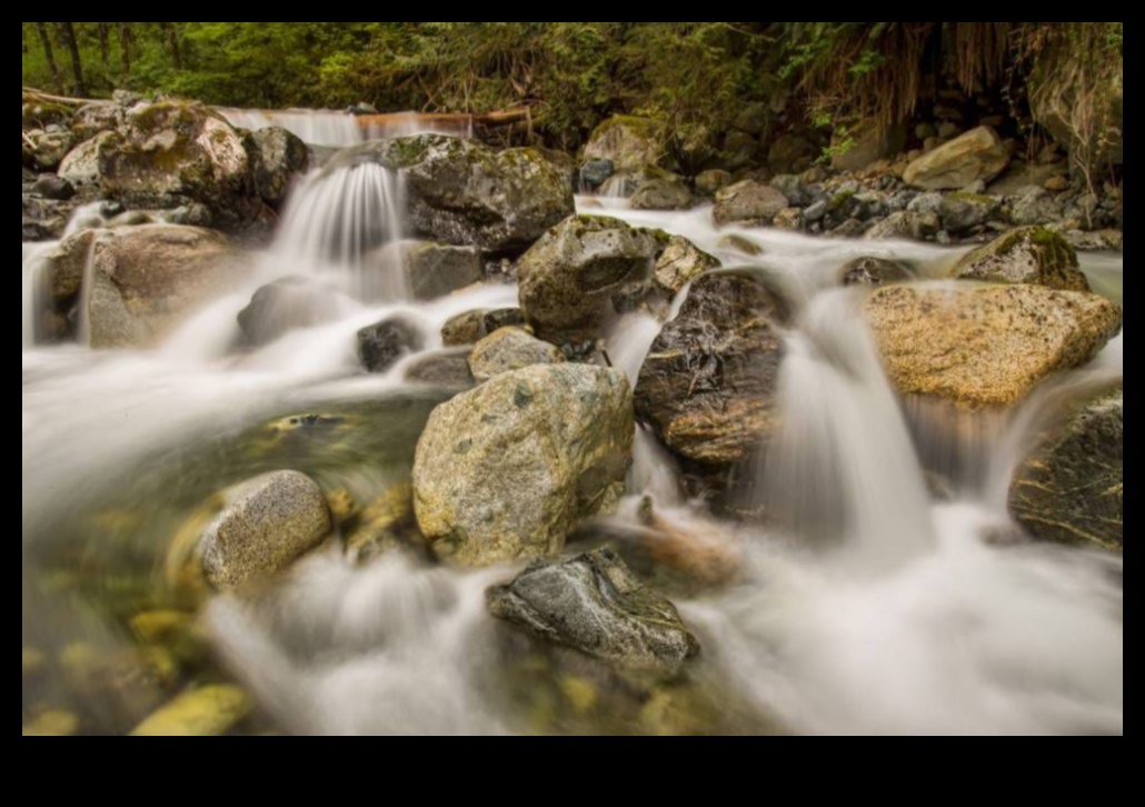 Silky Smooth Water Πώς να καταγράψετε τη ροή ενός ρεύματος 7 Silky Smooth Water: Mastering Techniques for Capturing Flowing Streams