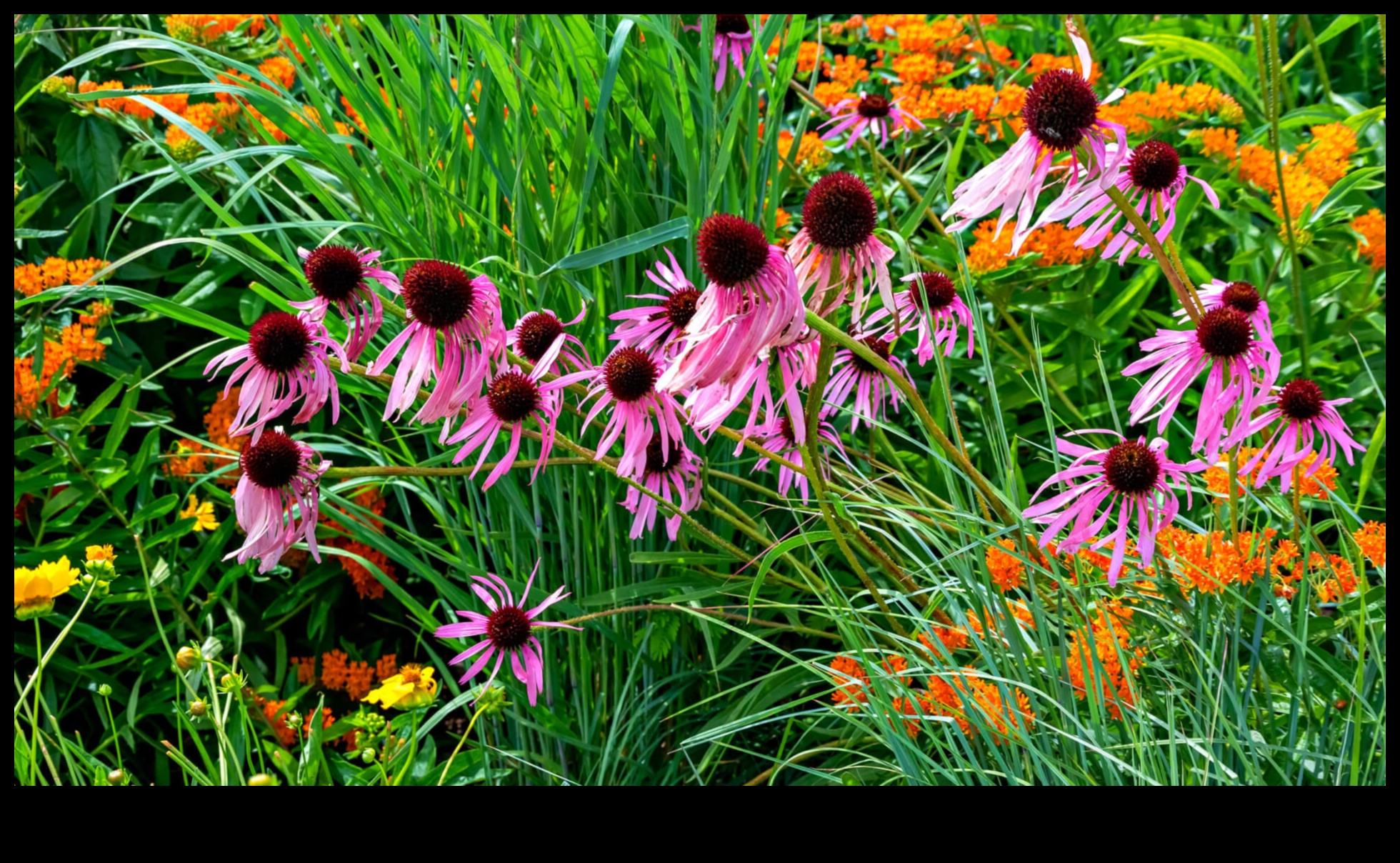 Τα μυστικά της φύσης αποκαλύφθηκαν: DIY Elegance για έναν ανθισμένο κήπο