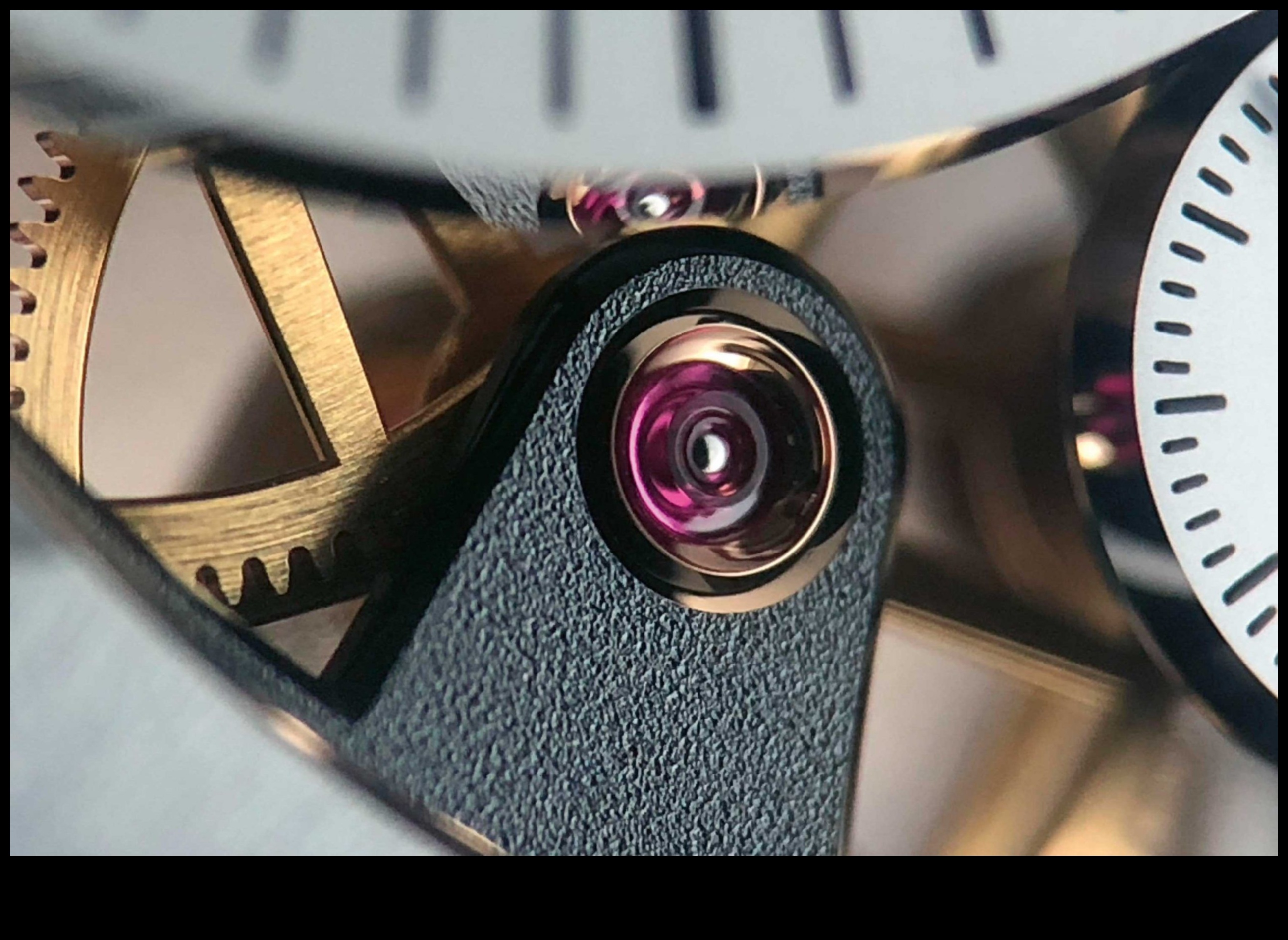 Macro Marvels: Καταγραφή κάθε λεπτομέρειας με φακούς ακριβείας