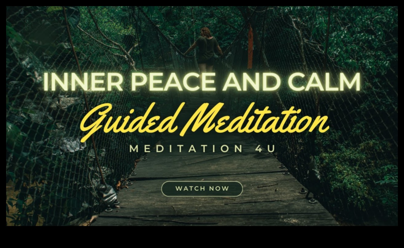 Calm Chronicles: A Guided Meditation Story for Inner Peace