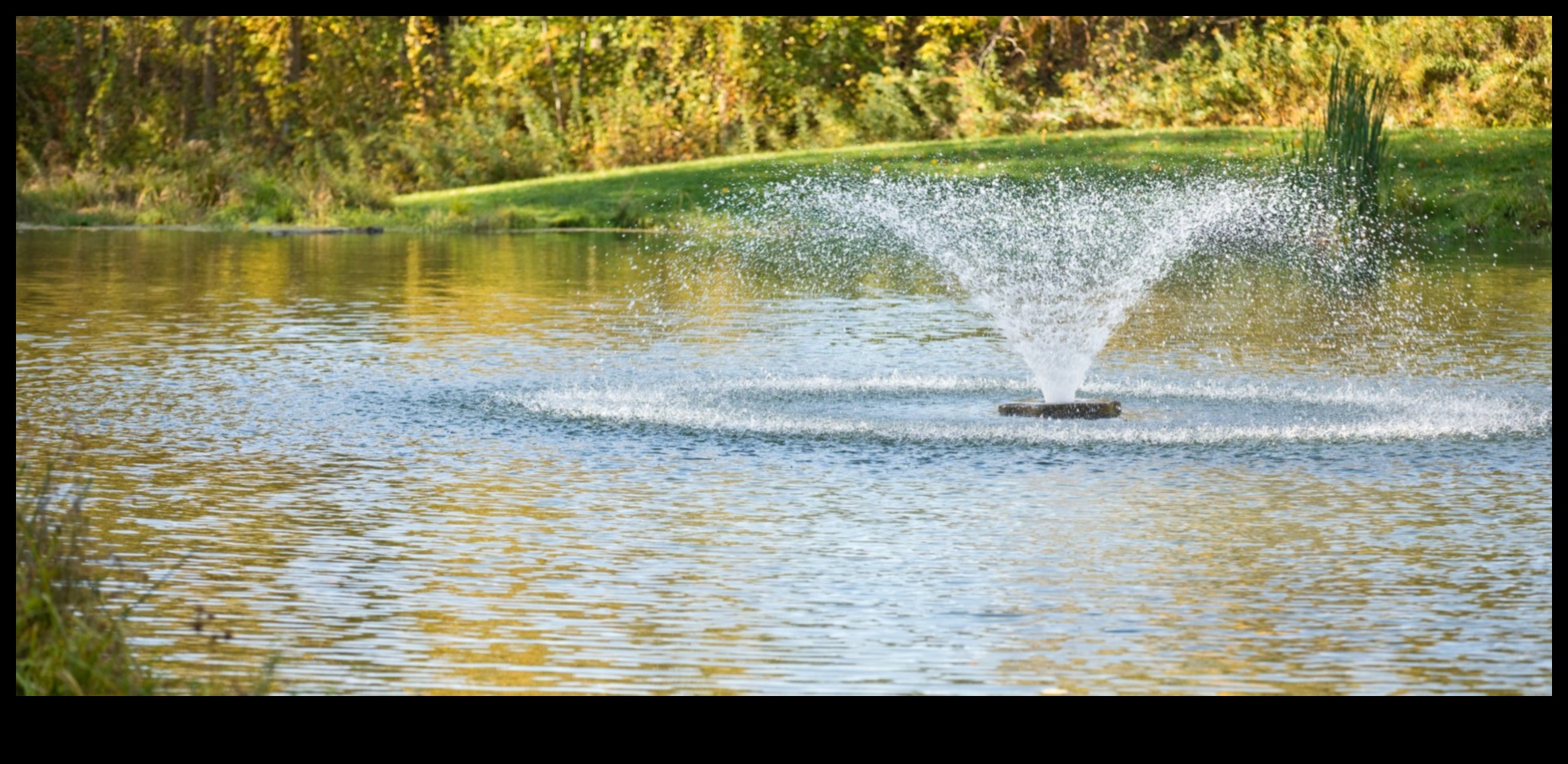 Nature's Elegance: Δημιουργήστε ένα γαλήνιο καταφύγιο με Garden Artistry