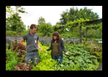 Βοτανική Μαεστρία: Απελευθερώνοντας Δυνατότητες σε Εργαστήρια Κήπου