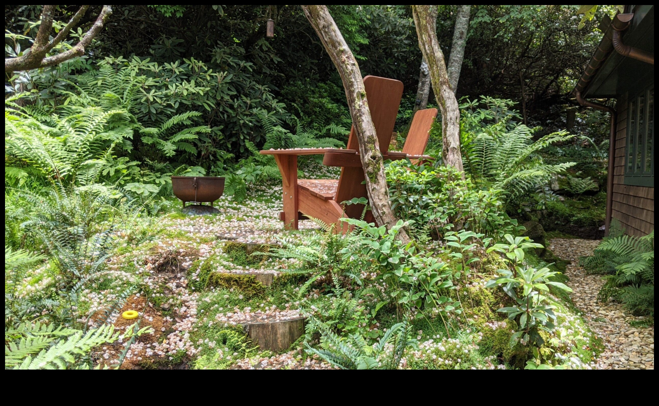 Βοτανική Μαεστρία: Απελευθερώνοντας Δυνατότητες σε Εργαστήρια Κήπου