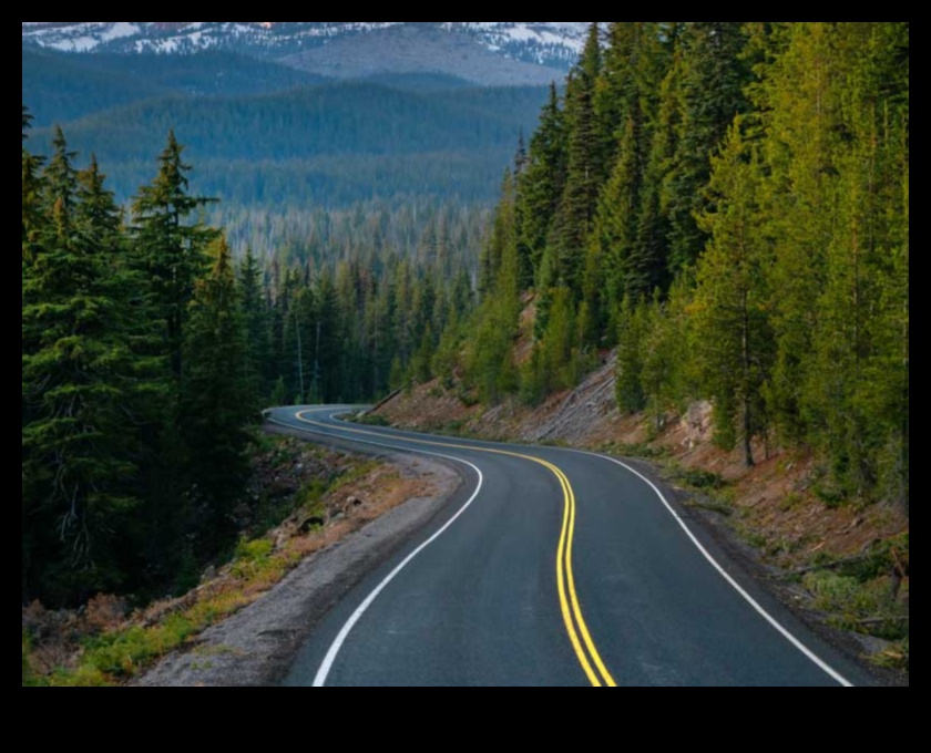 Scenic Routes Ένας οδηγός για την αποτύπωση της ομορφιάς στην πορεία 5 Scenic Routes: Capturing Beauty In the Way