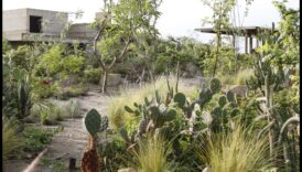 Floral Artistry Ανακαλύψτε την Ελκυστικότητα της Φύσης εντός μέσω Εργαστήρια Κήπου 6 Floral Artistry: Crafting Beauty through Garden Workshops