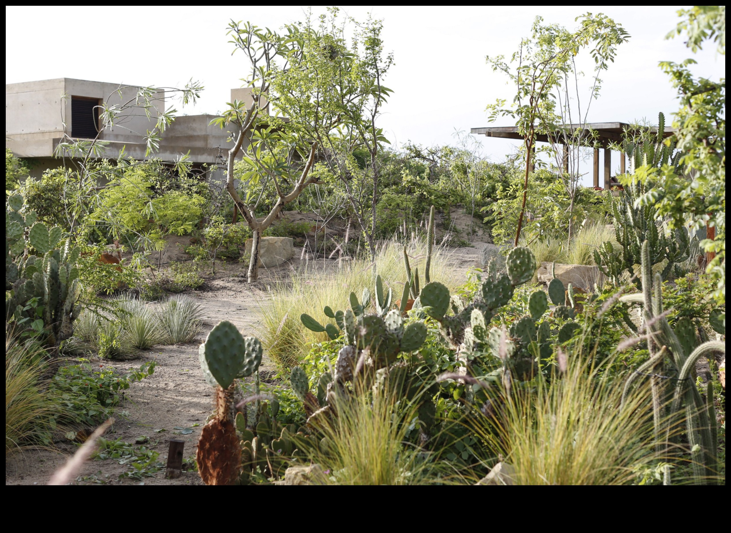 Floral Artistry: Crafting Beauty through Garden Workshops