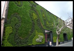 Green Living, Green Growing: The Art of Organic Gardens