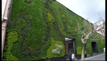 Green Living, Green Growing: The Art of Organic Gardens