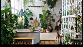 Green Living Inside: Φροντίζοντας το σπίτι σας με εσωτερικούς κήπους