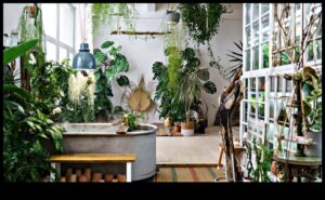 Green Living Inside: Φροντίζοντας το σπίτι σας με εσωτερικούς κήπους