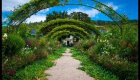 Greenery Grandeur: Συμβουλές ειδικών για τον εκπληκτικό κήπο σας