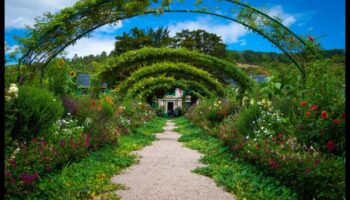 Greenery Grandeur: Συμβουλές ειδικών για τον εκπληκτικό κήπο σας