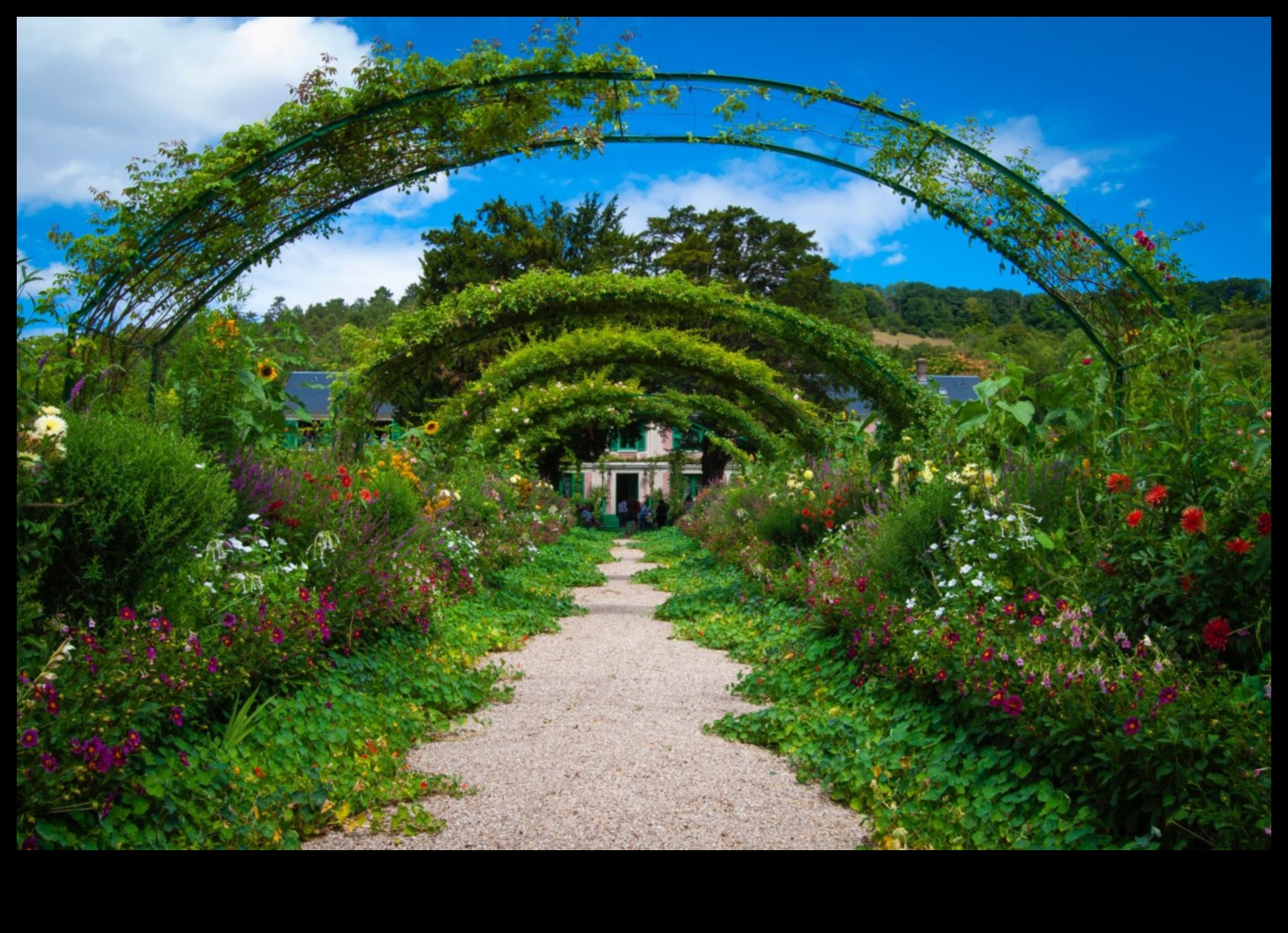 Greenery Grandeur: Συμβουλές ειδικών για τον εκπληκτικό κήπο σας