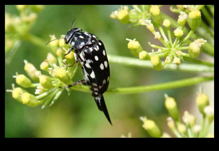 Nip It in the Bud: A Gardener's Guide to Pest Mastery