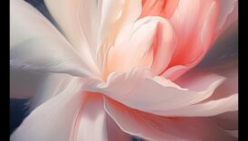 Petal Perfection: Mastering Techniques for Capture the Delicate Beauty of Flowers