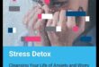 Αποτοξίνωση από το στρες: Καθαρισμός του μυαλού και του σώματος για ανακούφιση