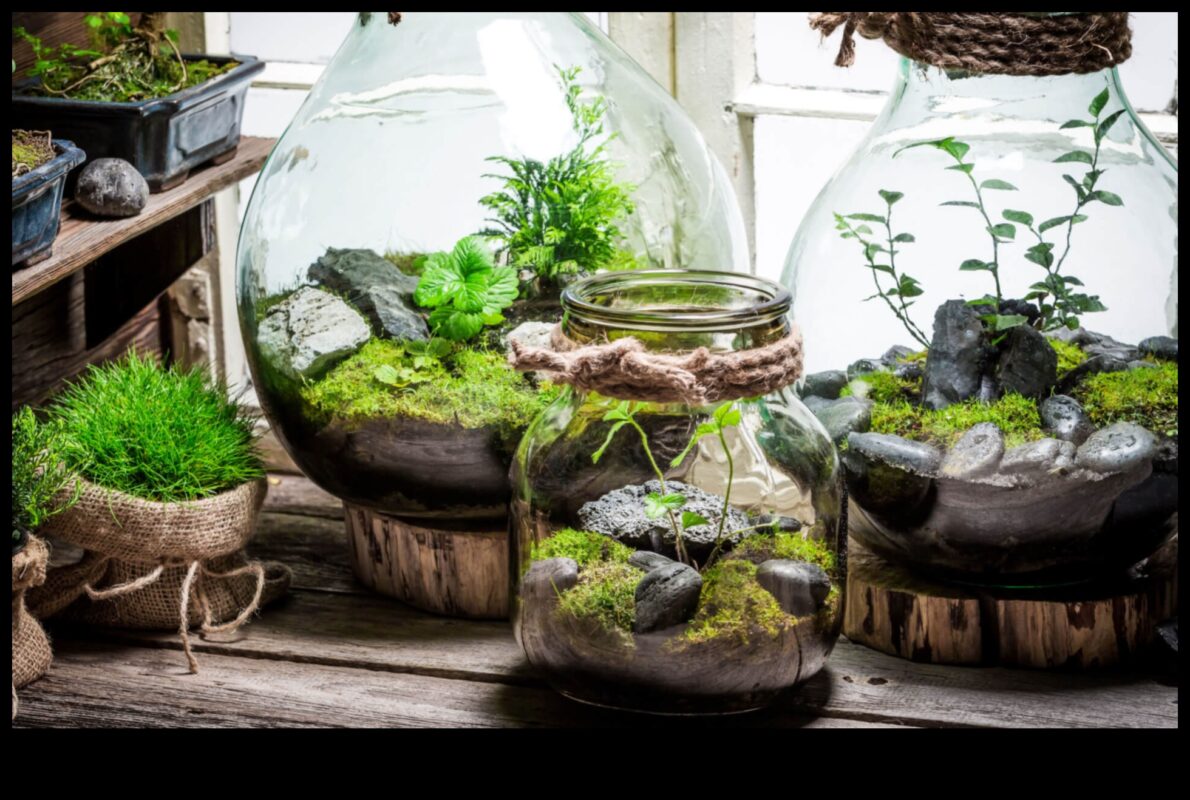 Μικροσκοπικά Terrariums, Big Impact: Urban Gardening Wonders