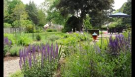 Whimsical Retreats: The Magic of Designing Cottage Gardens