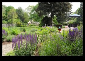Whimsical Retreats: The Magic of Designing Cottage Gardens
