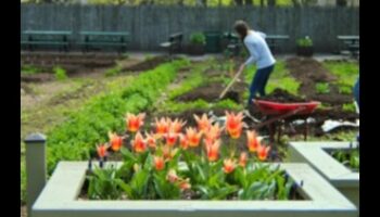 Βοτανική Μαεστρία: Απελευθερώνοντας Δυνατότητες σε Εργαστήρια Κήπου