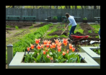 Βοτανική Μαεστρία: Απελευθερώνοντας Δυνατότητες σε Εργαστήρια Κήπου