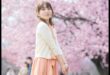 Sakura Whispers: Japanese Cherry Blossom Gardens