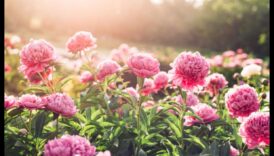 Whimsical Charm: Artistic Accents for Your Garden Haven