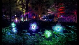 Glowing Gardens: Mastering Techniques for Illuminating Floral Beauty