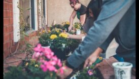 Με ρίζες ανατρέχοντας δεξιότητα Αναπτύξτε την τεχνολογία σας στα εργαστήρια κήπου 4 Rooted in Skill: Growing Expertise in Garden Workshops