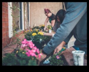 Rooted in Skill: Growing Expertise in Garden Workshops