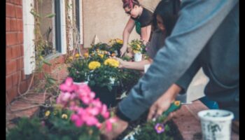 Rooted in Skill: Growing Expertise in Garden Workshops