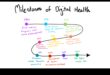 Evolution of Digital Health: Health IT Through the Ages