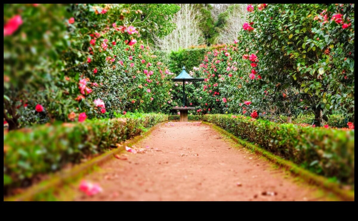 Τα μυστικά της φύσης αποκαλύφθηκαν: DIY Elegance για έναν ανθισμένο κήπο