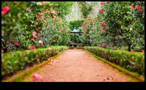 Τα μυστικά της φύσης αποκαλύφθηκαν: DIY Elegance για έναν ανθισμένο κήπο