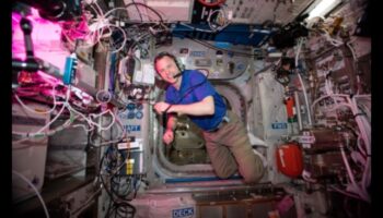 Τροχιακή Ευφορία: Ευδαιμονικές Στιγμές στη Ζώνη Μηδενικής Βαρύτητας